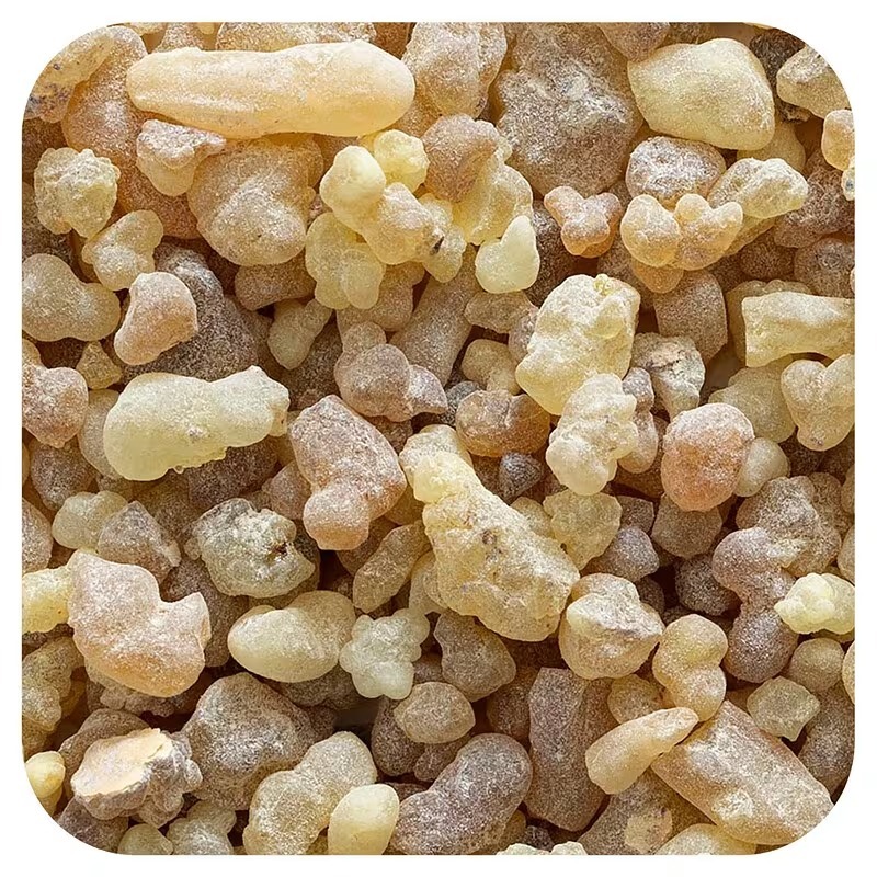 FRANKINCENSE RESIN | Boswellia Serrata - Image 3